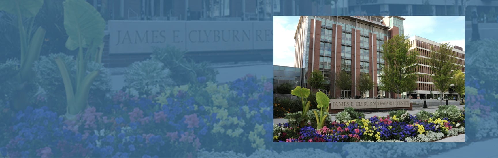 A flowerbed sits in front of a tall brick building and a sign that reads James E. Clyburn Research center 